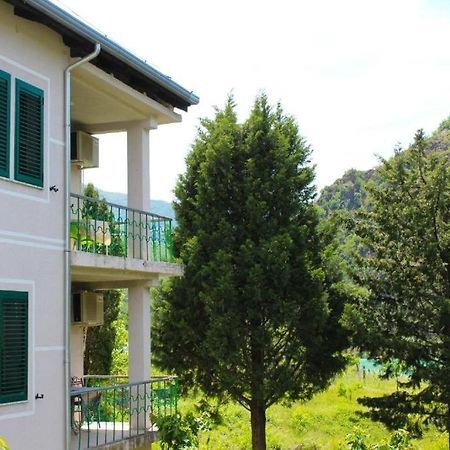 Agroturizem Hotel Vila Franceze Koman Экстерьер фото