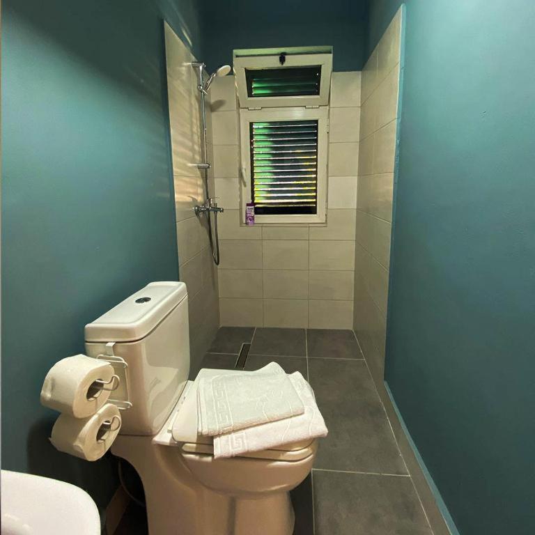 Agroturizem Hotel Vila Franceze Koman Экстерьер фото