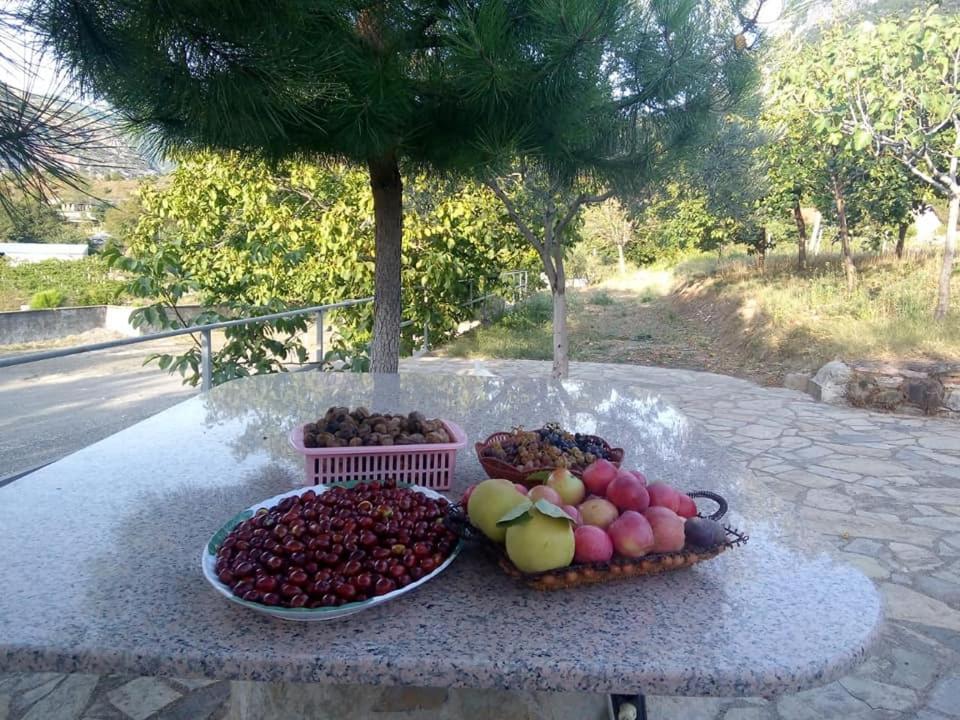 Agroturizem Hotel Vila Franceze Koman Экстерьер фото