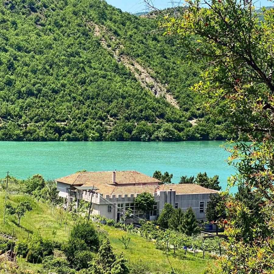 Agroturizem Hotel Vila Franceze Koman Экстерьер фото